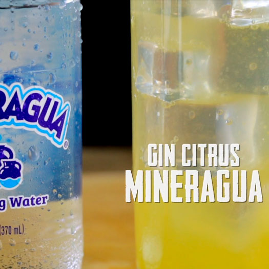Gin Citrus Mineragua